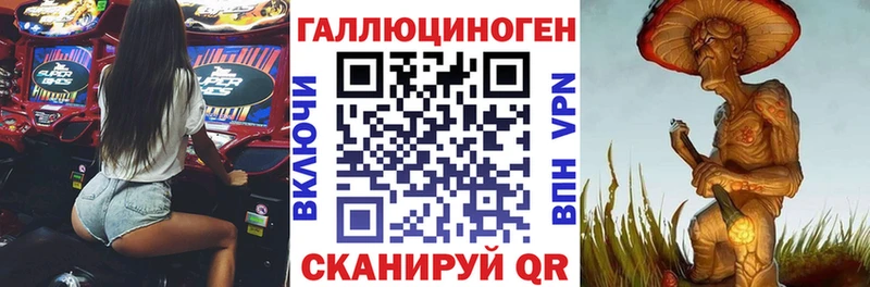 Псилоцибиновые грибы Cubensis где продают Каменногорск